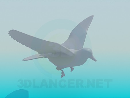 3d model Flying Pigeon - preview 3d model Flying Pigeon - preview