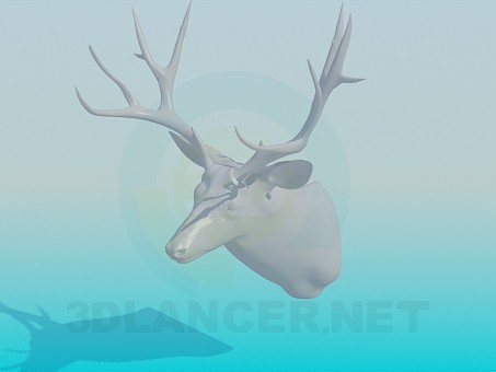 modelo 3D Animal disecado de corza - escuchar modelo 3D Animal disecado de corza - escuchar