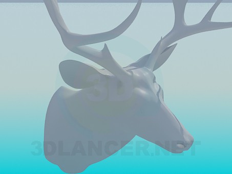 modelo 3D Animal disecado de corza - escuchar modelo 3D Animal disecado de corza - escuchar