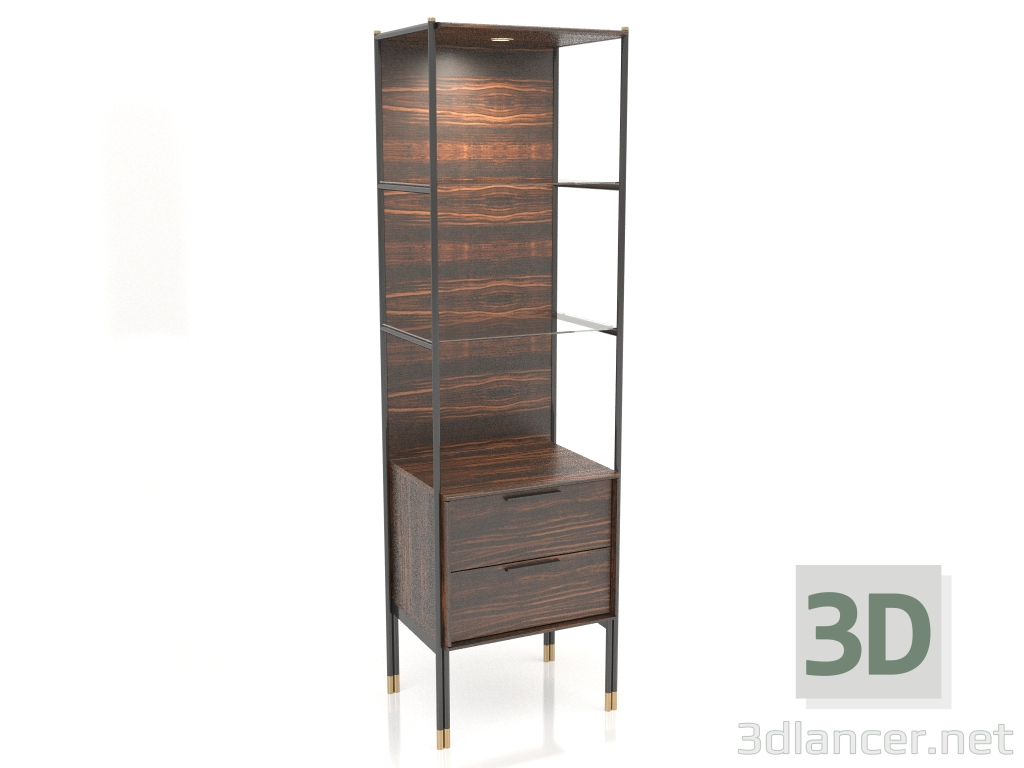 modello 3D Vetrina, finitura impiallacciata in ebano, laccata nera opaca, ottone, retroilluminazione (59x45x200 - anteprima