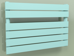 Heated towel rail - Muna (530 x 800, RAL - 6034)