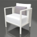 3D modeli Kulüp sandalyesi (Akik gri) - önizleme