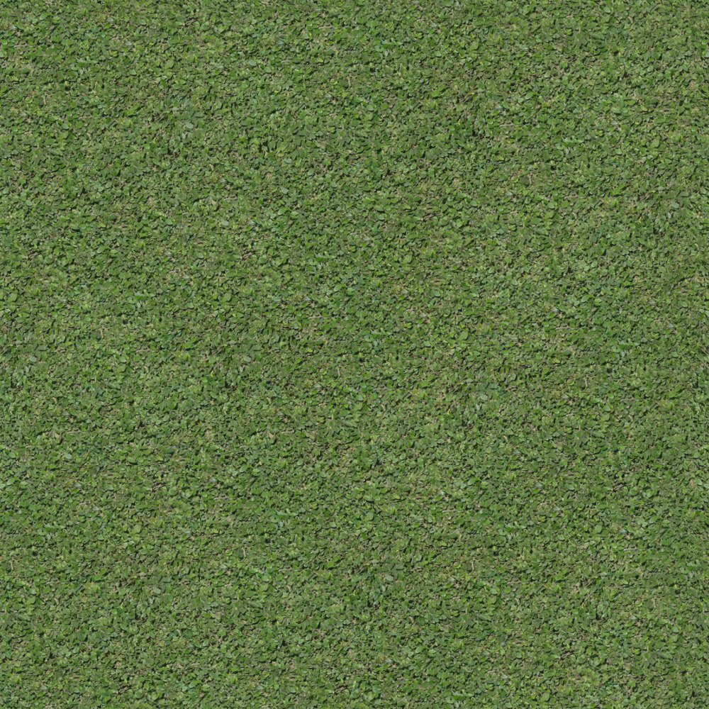 Download texture Seamless texture of grass for 3d max - number 12087 at ...