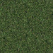 Texture Seamless texture of grass free download - image