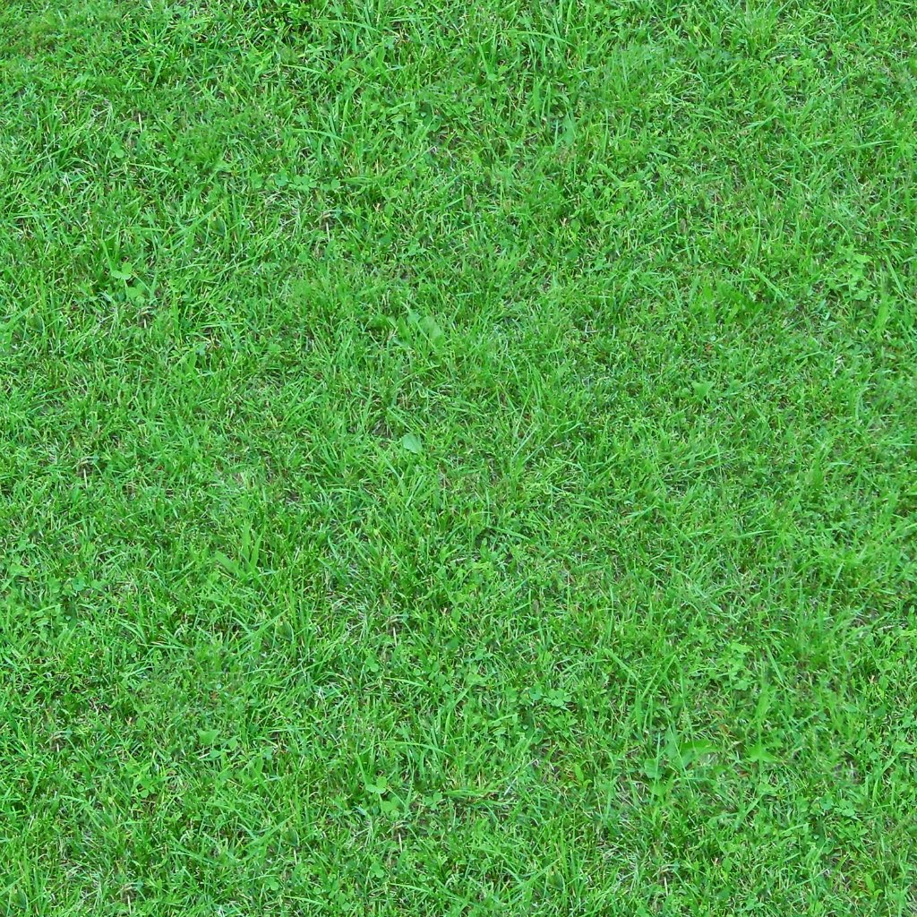 Download texture Seamless texture of grass for 3d max - number 12087 at ...