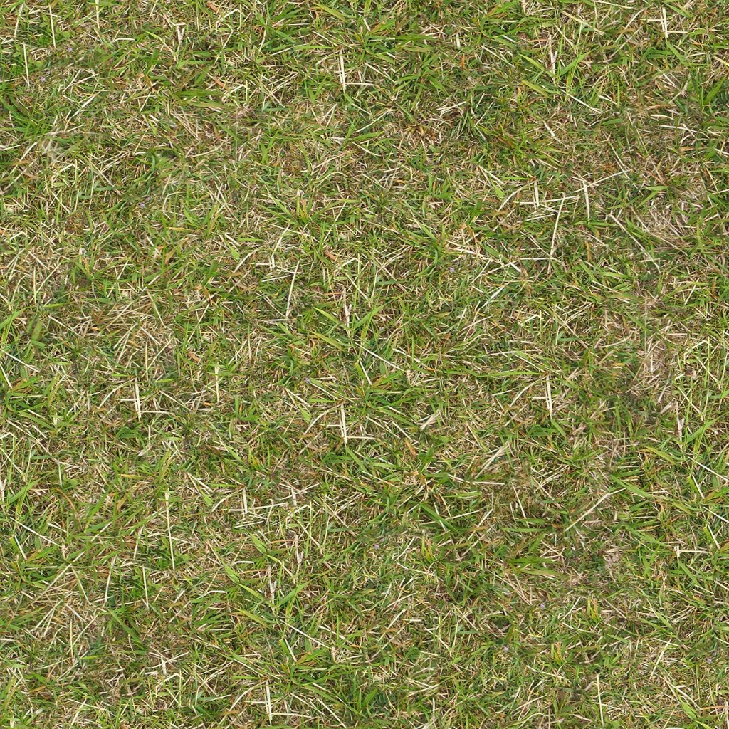 Download texture Seamless texture of grass for 3d max - number 12087 at ...