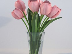 Тюльпаны в стеклянной вазе