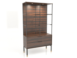 Vitrina, acabado chapa de ébano, barniz negro mate, latón, retroiluminación (110x45x200 cm)