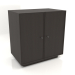 3d model Cabinet TM 15 (803х505х834, wood brown dark) - preview