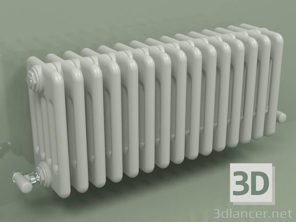 3D Modell Kühler TESI 5 (H 300 15EL, Manhattan grau) - Vorschau