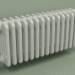 3D Modell Kühler TESI 5 (H 300 15EL, Manhattan grau) - Vorschau