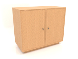 Cabinet TM 15 (1001х505х834, Holz Mahagoni furniert)