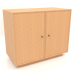 modèle 3D Cabinet TM 15 (1001х505х834, placage d'acajou) - preview