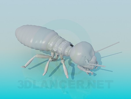 Modelo 3d Termite - preview