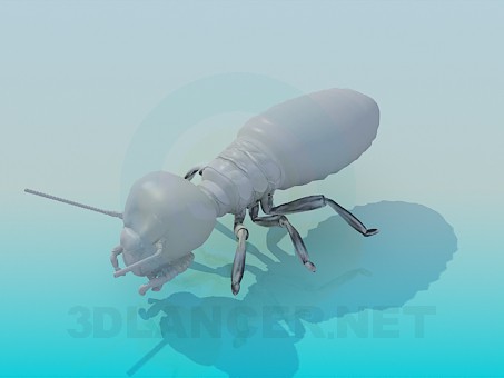 3d model Termit - preview 3d model Termit - preview