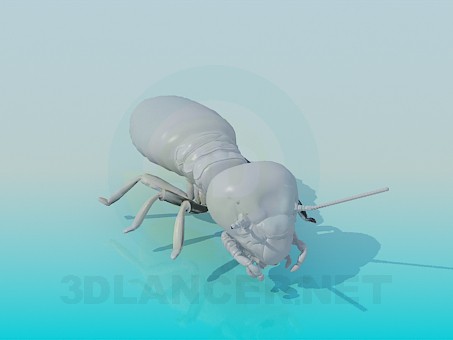 3d model Termit - preview 3d model Termit - preview