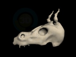dragon crâne