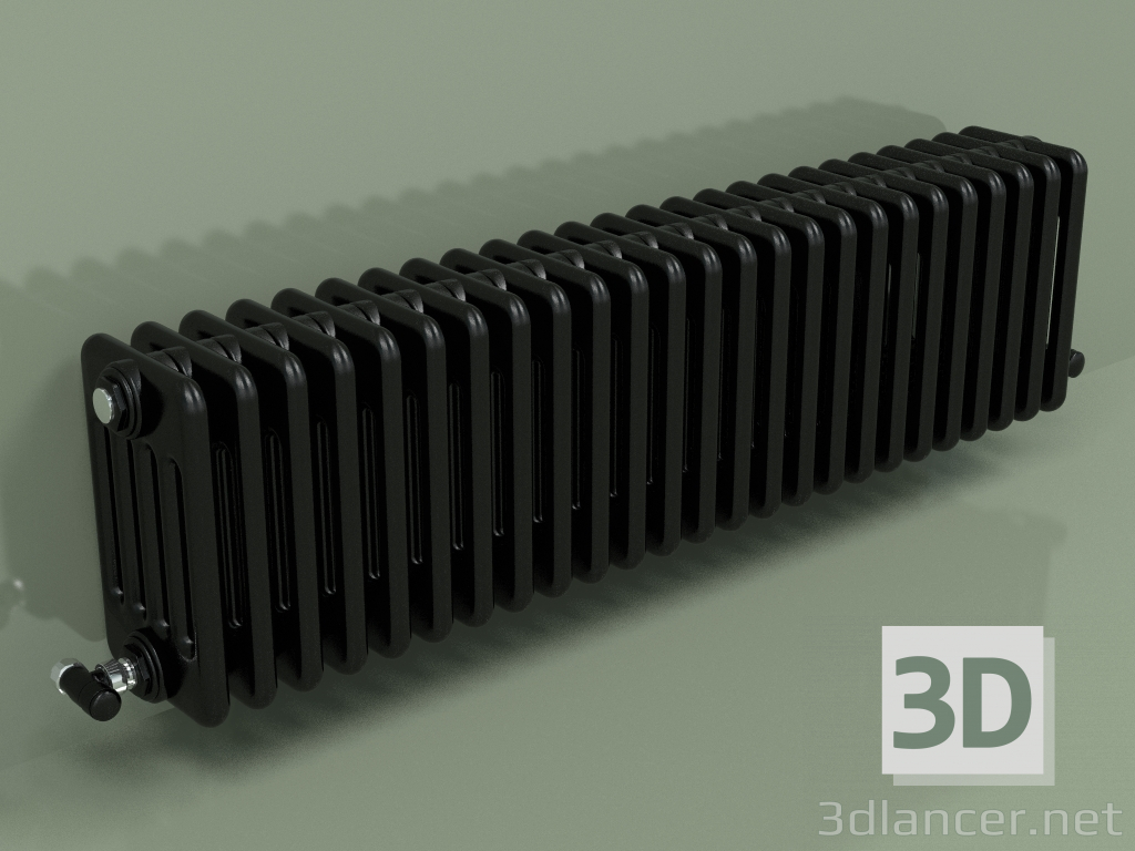 modèle 3D Radiateur TESI 5 (H 300 25EL, Noir - RAL 9005) - preview
