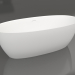 3d model ALDA bathtub 160x70 - preview