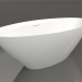 3d model DIVA bathtub 178x85.5 - preview