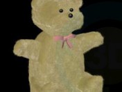 teddy Bear
