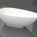3d model PAOLA bathtub 172x82.5 - preview