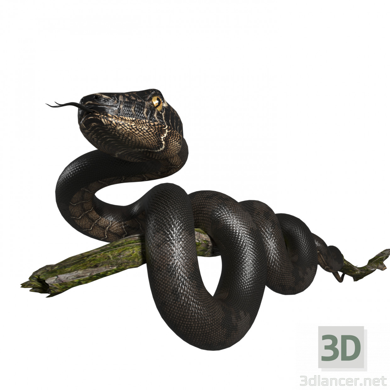 Modello 3D truccato del serpente del re nero del deserto Modello