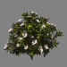 Bush azalea 3D modelo Compro - render