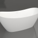 3d model NOEMI bathtub 170x75 - preview