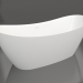 3d model NOEMI bathtub 186x80.5 - preview