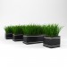 3d model Grass for decoration - preview