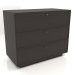 3d model Chest of drawers TM 15 (1001х505х834, wood brown dark) - preview