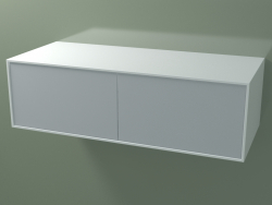 İkili kutu (8AUEВB02, Buzul Beyazı C01, HPL P03, L 120, P 50, H 36 cm)
