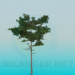 3d model Lush pine - preview