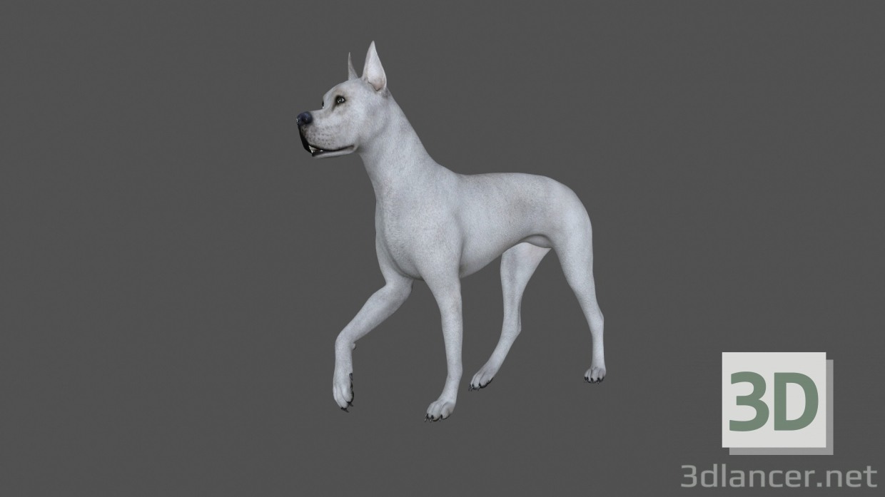 3d model FDGD-001 Animation dog | 60920 
