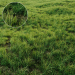 3d Grass for landscaping exterior model buy - render