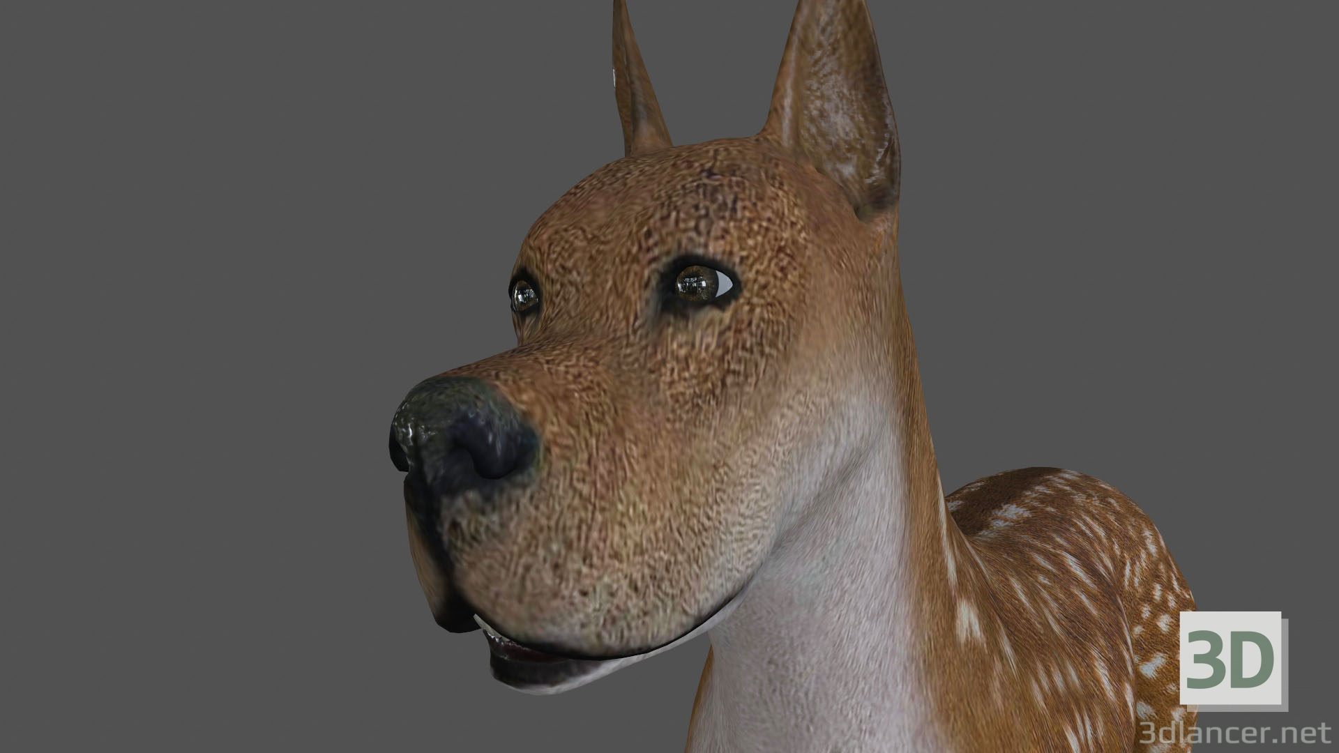 Animación de perro FDGD-002 3D modelo Compro - render