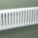 modello 3D Radiatore tubolare PILON (S4H 2 H302 15EL, bianco) - anteprima
