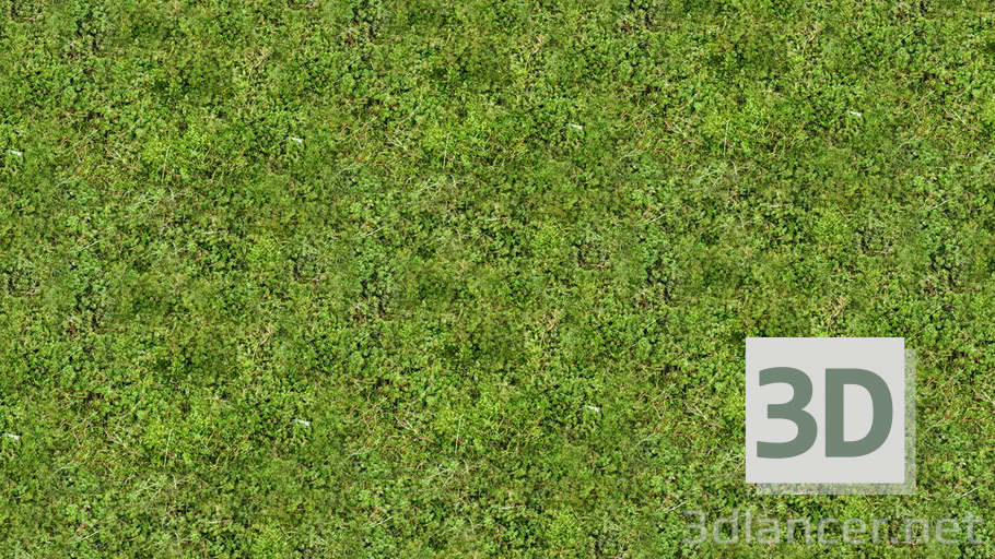 Download Texture Grass Texture For 3d Max Number 55934 At