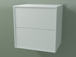 Double drawer (8AUACA01, Glacier White C01, HPL P01, L 48, P 36, H 48 cm)