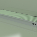 modèle 3D Convecteur gainable - Aquilo FMK (260x1000x110, RAL 6019) - preview