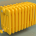 3D modeli Radyatör TESI 6 (H 300 10EL, Kavun sarısı - RAL 1028) - önizleme
