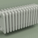 3D Modell Kühler TESI 6 (H 300 15EL, Manhattan grau) - Vorschau