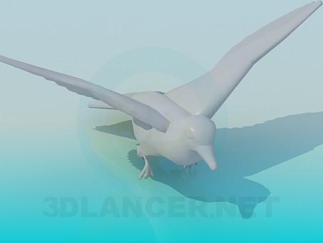 3d model Pigeon - preview 3d model Pigeon - preview