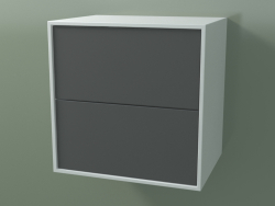 Doppelbox (8AUACA01, Gletscherweiß C01, HPL P05, L 48, P 36, H 48 cm)