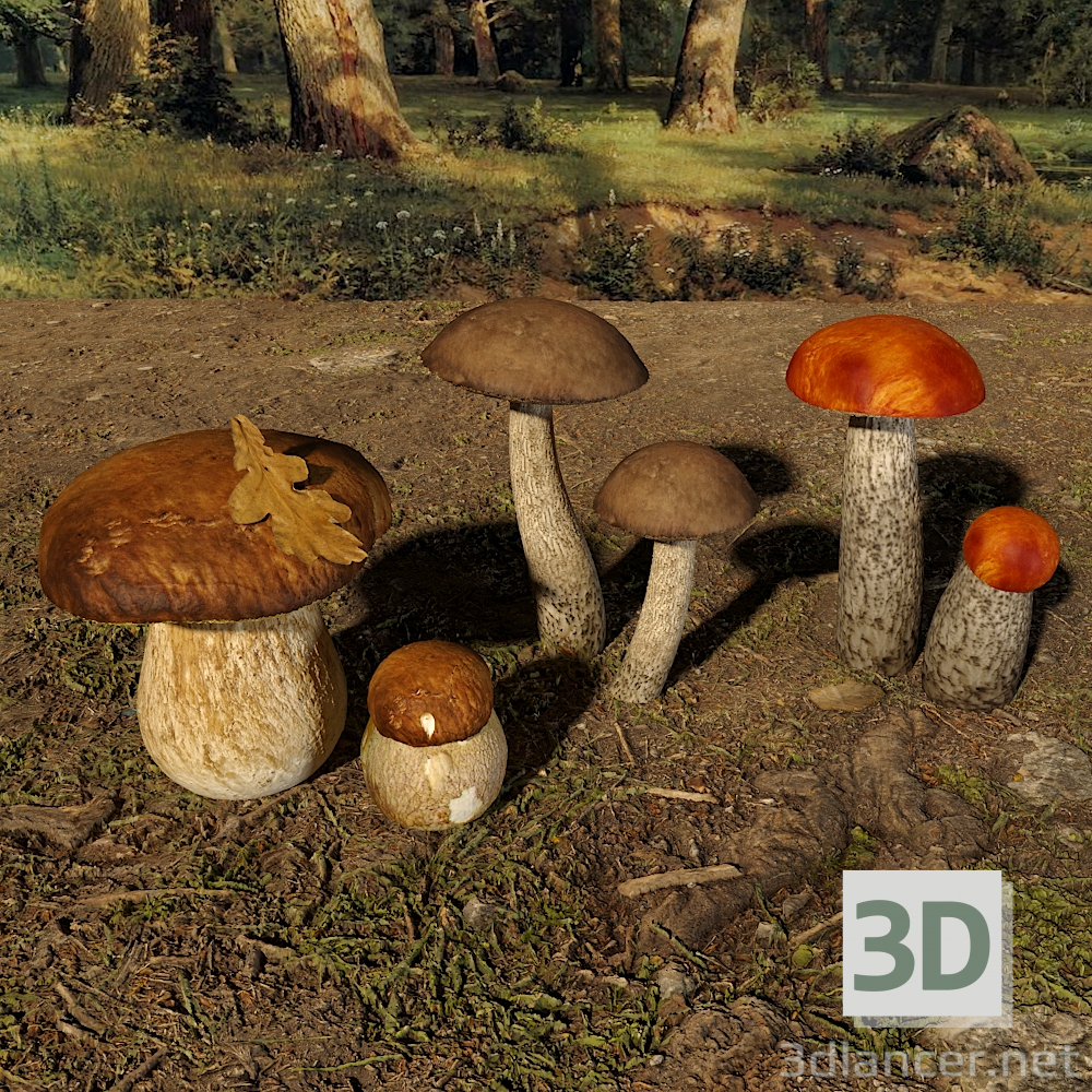 3d Mushrooms Set 2 model buy - render