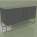 3d model Chest of drawers Lf 300 (Anthracite) - preview