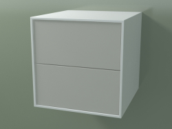 Ящик двойной (8AUACB01, Glacier White C01, HPL P02, L 48, P 50, H 48 cm)