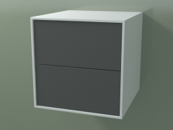 Doppelbox (8AUACB01, Gletscherweiß C01, HPL P05, L 48, P 50, H 48 cm)