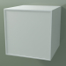 3D Modell Box (8AUACB03, Gletscherweiß C01, HPL P01, L 48, P 50, H 48 cm) - Vorschau